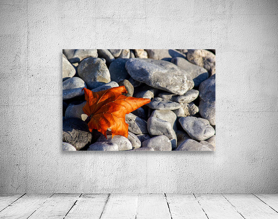Maple Leaf on Stone Beach Wall Preview