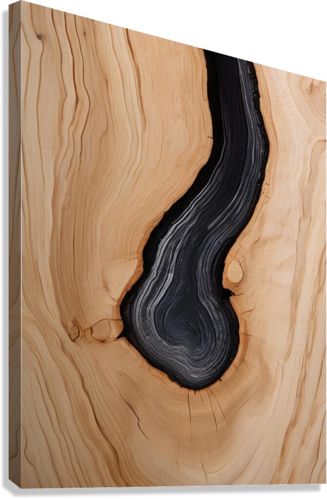 CASS 5 DEEP 08 Canvas Print