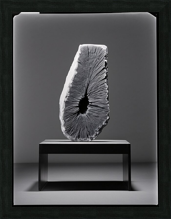 CASS 9 DENSE 03 Picture Frame print