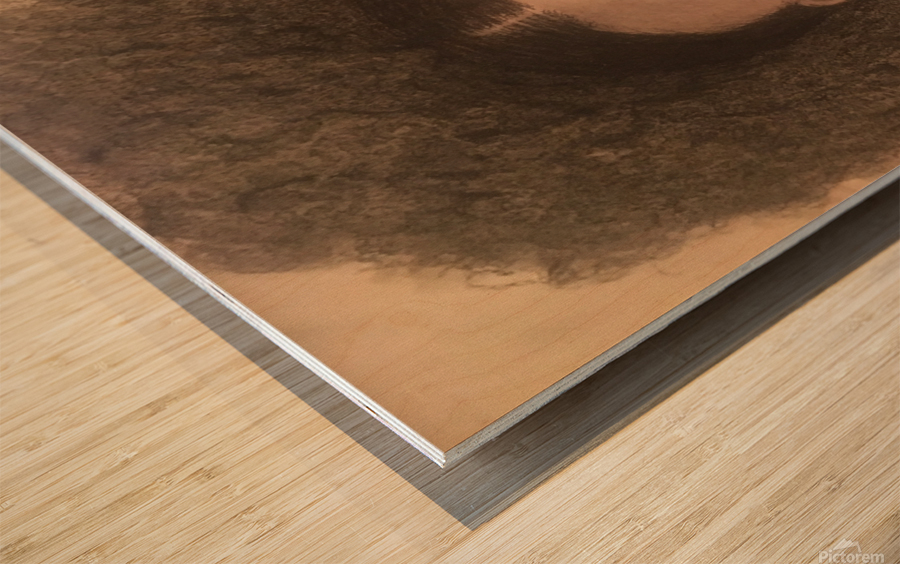 6A8621D0 5C64 4CC9 87CD 1CA33C60AA7F Wood print