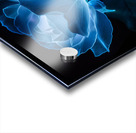 Blue Bioluminescent Rose Black Background Acrylic print