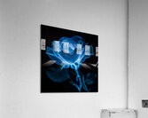 Blue Bioluminescent Rose Black Background Acrylic Print