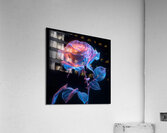 Dual Bloom Abstract Minimal  Floral  Botanical Digital Artwork Acrylic Print