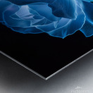 Blue Bioluminescent Rose Black Background Metal print