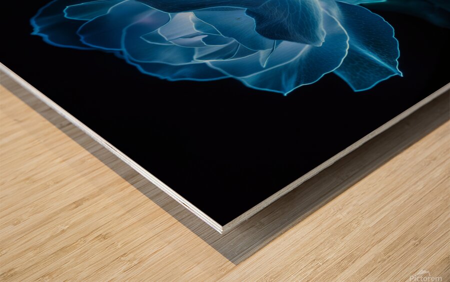 Blue Bioluminescent Rose Black Background Wood print