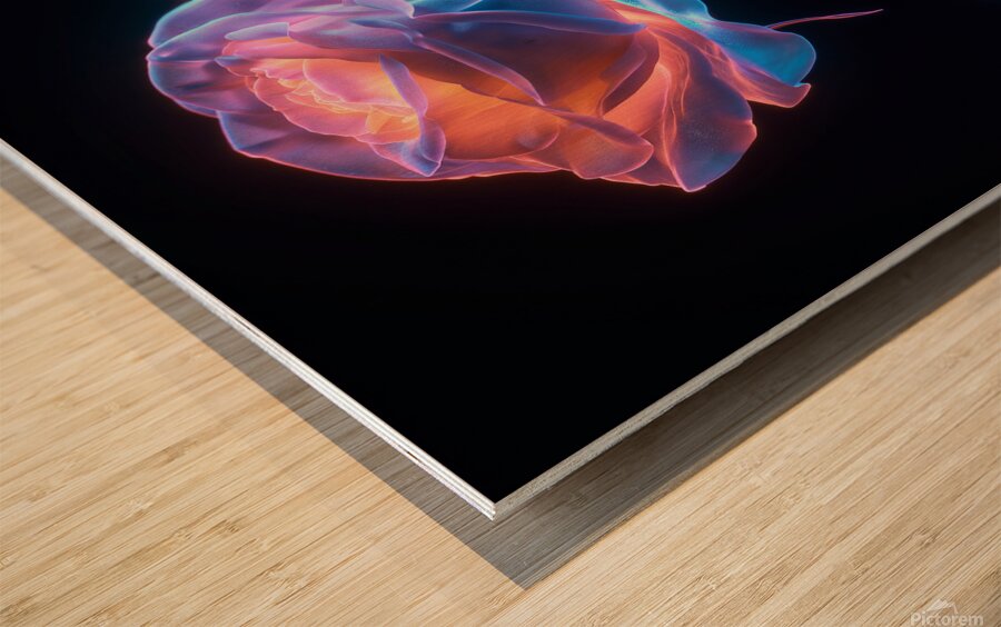 Dual Bloom Abstract Minimal  Floral  Botanical Digital Artwork Wood print