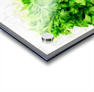 Celery Acrylic print