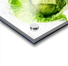 Cabbage Acrylic print