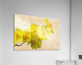 Hao Mai Acrylic Print