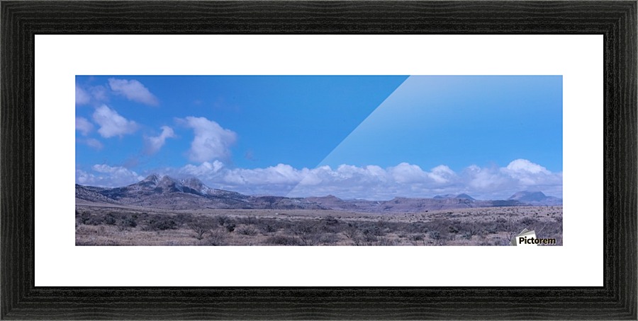 Twin Sisters Pano Picture Frame print