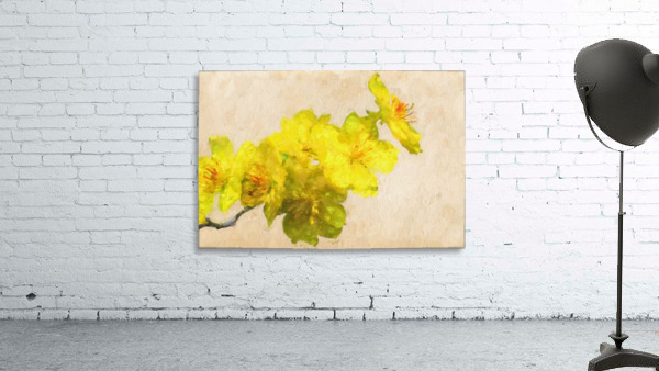 Hao Mai Wall Preview