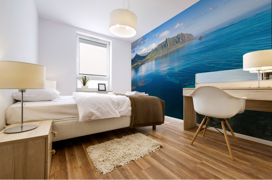 Mountain to Reef Mural print
