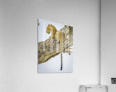 Domain Dominator Acrylic Print