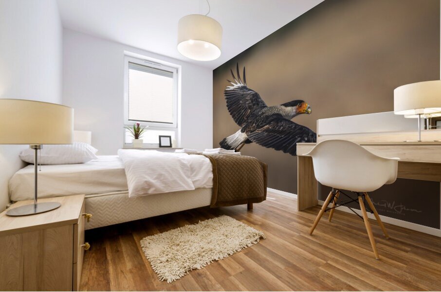 Crested Caracara - Outbound Mural print