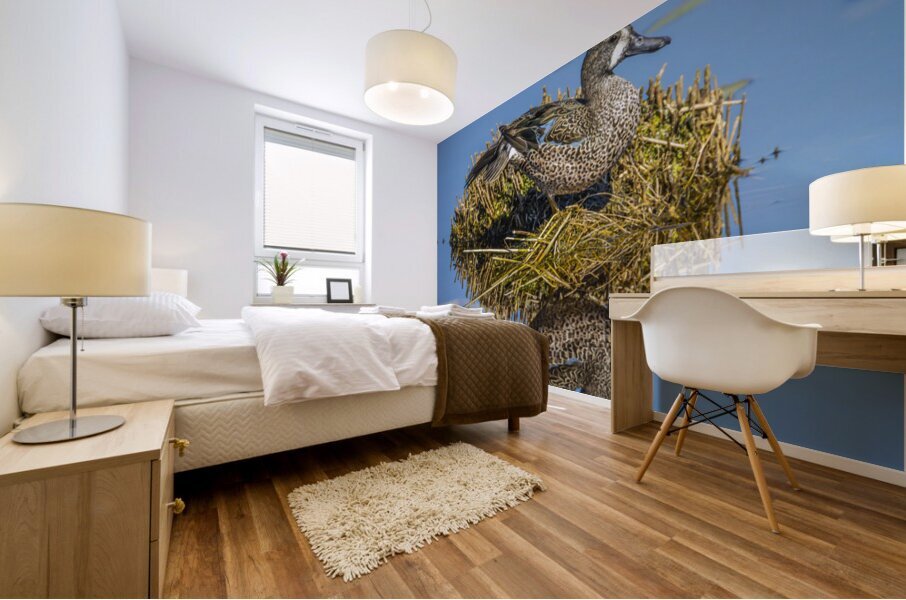 Blue-winged Teal Mural print