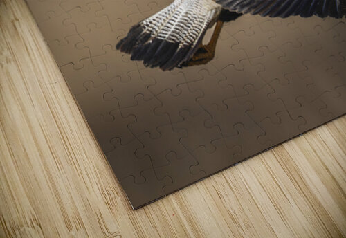 Crested Caracara - Outbound The Light Whisperers   Mike and Lauren Johnson puzzle