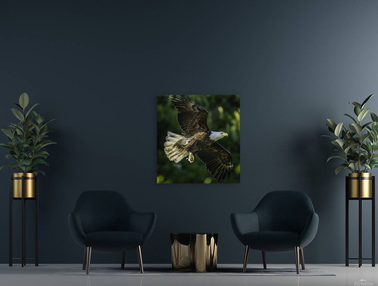 Bald Eagle - Dinner Delivery Reproduction