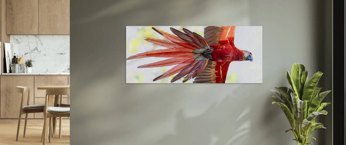 Scarlet Macaw  - GearUp Reproduction