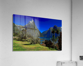 JS Acrylic Print