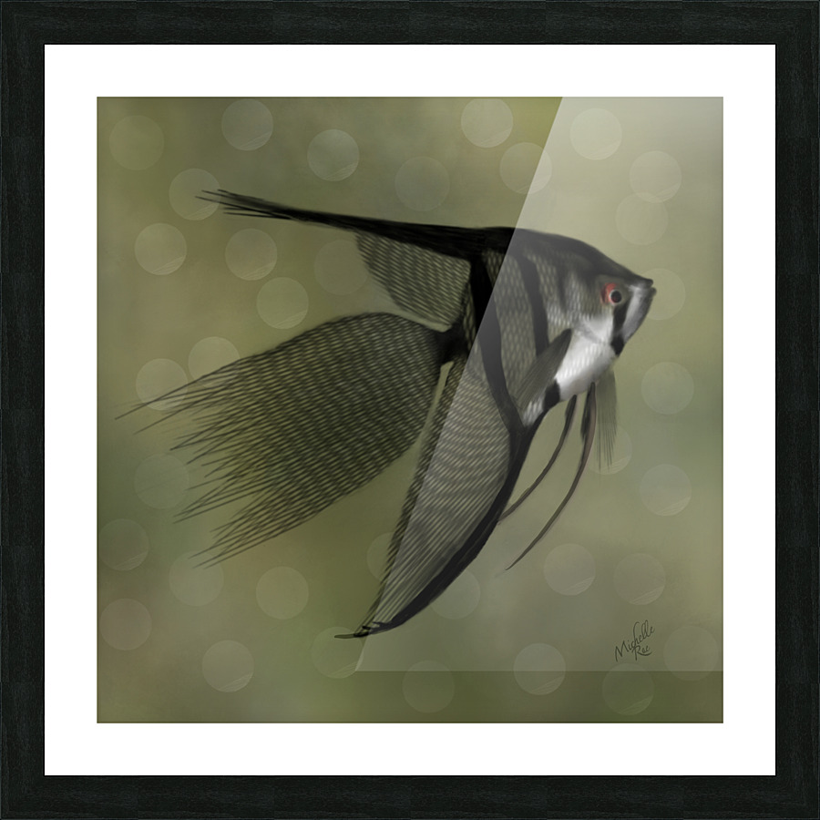 Raphael  Picture Frame print