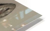 Luna ‘s Legacy  HD Metal print