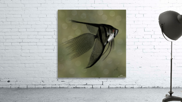 Raphael  Wall Preview