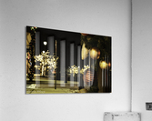 IMG 5456 Acrylic Print