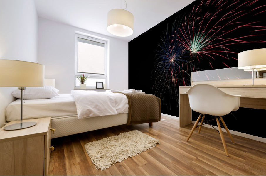 FireWorks 1938 Mural print