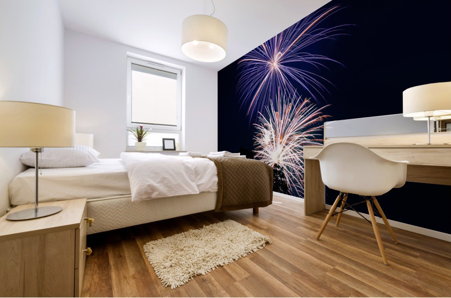 FireWorks 1929 Mural print