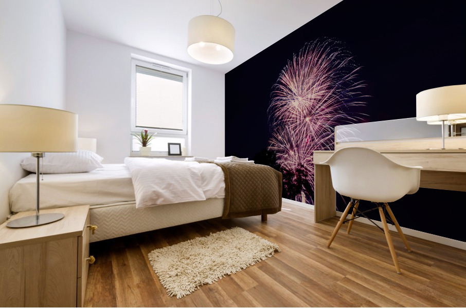FireWorks 1931 Mural print