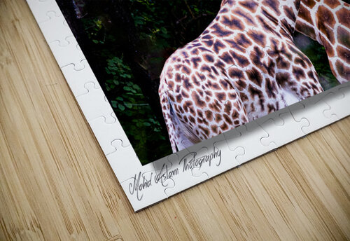 Giraffe 0639 Mohd Aslam puzzle