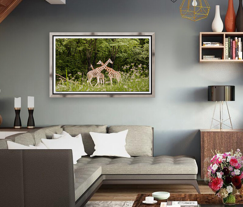Giraffe 0638 Reproduction