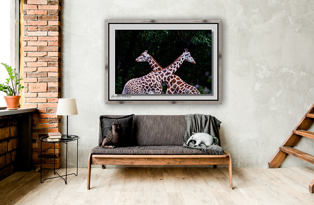 Giraffe 0639 Reproduction