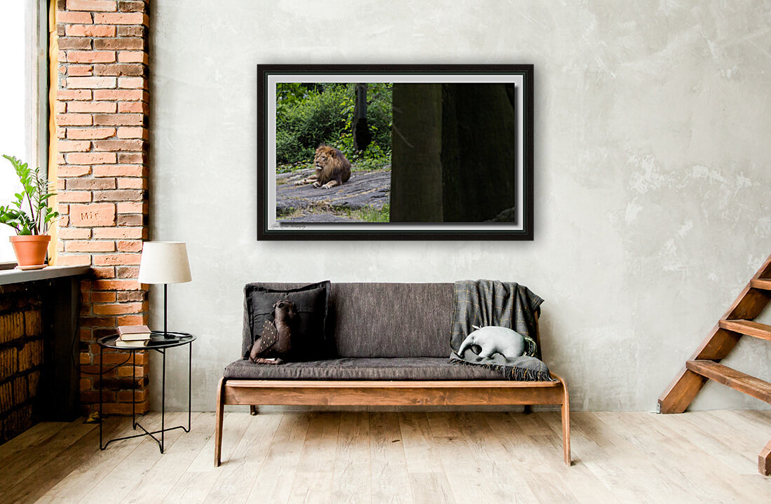 Lion 0225 Reproduction