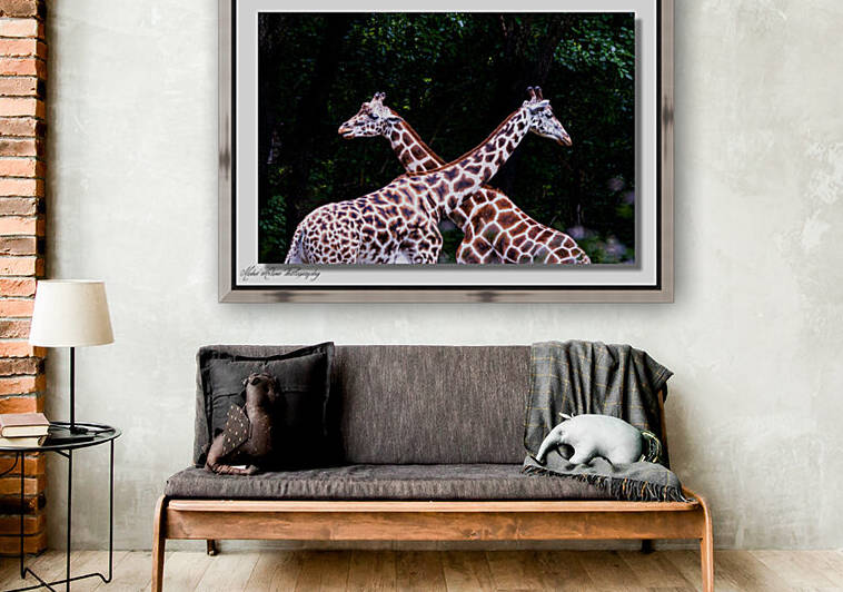Giraffe 0639 Reproduction