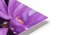 Purple Lotus HD Metal print