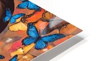 Butterfly Muse-2 HD Metal print