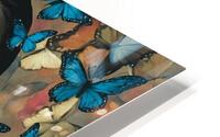 Butterfly Muse-1 HD Metal print