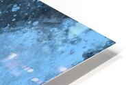 Baby Blu HD Metal print