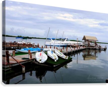 boats Canvas Print