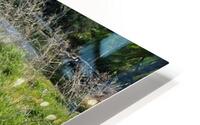 116 HD Metal print