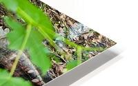 216 HD Metal print