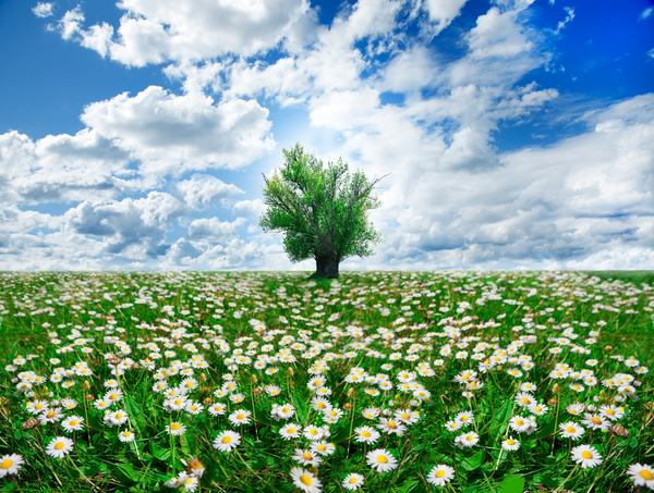 springtime Digital Download