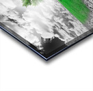 new ecosistem Acrylic print