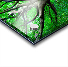 Tree in springtime. Acrylic print