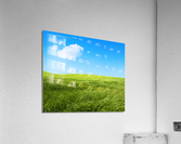 Green grass fields Acrylic Print