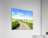 Green grass fields and road Acrylic Print