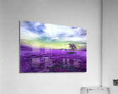 Tree between the fields. Acrylic Print