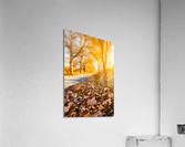 Autumn sunset landscape. Acrylic Print