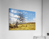 tree landscape Acrylic Print